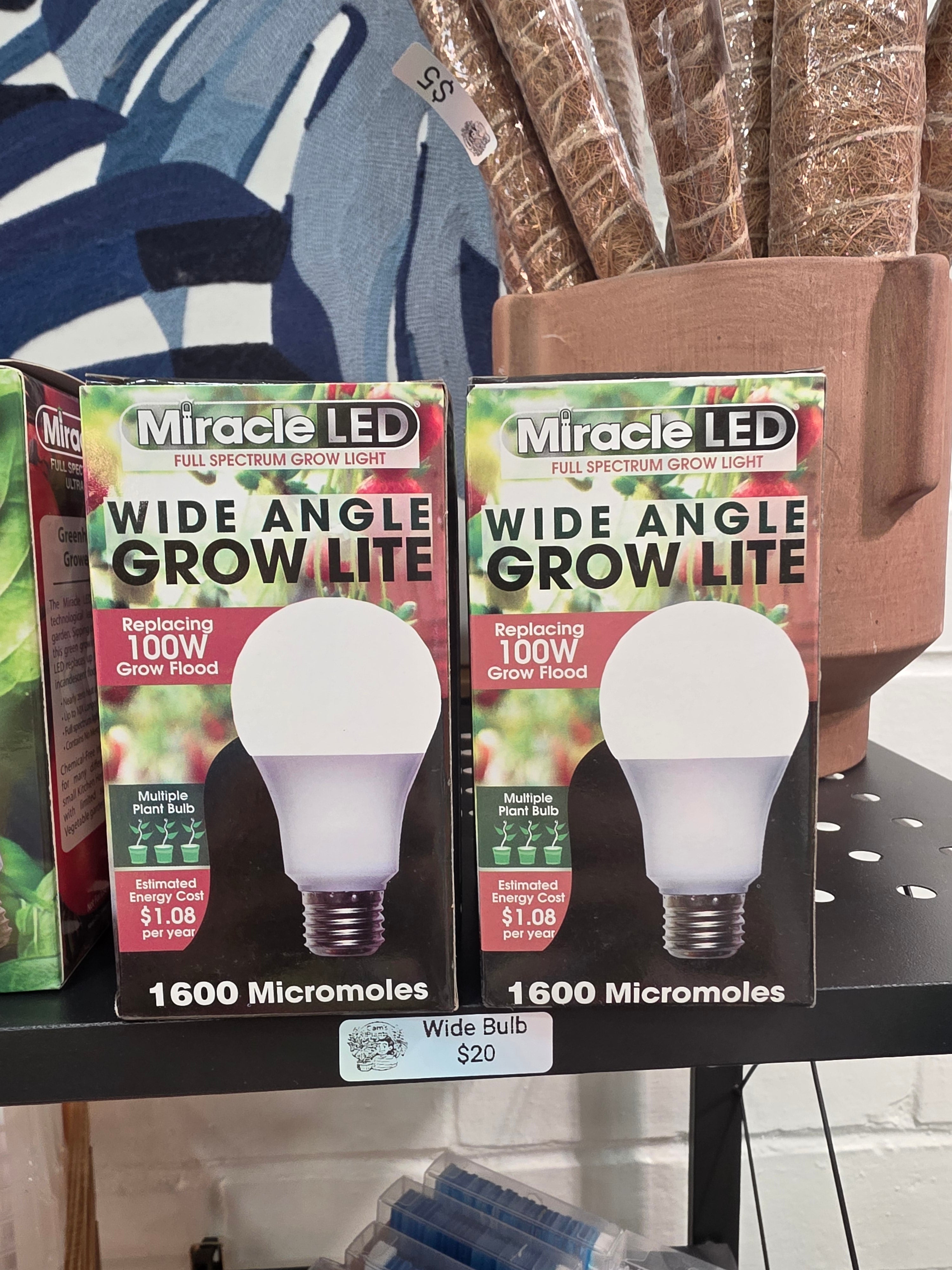 Grow Bulbs