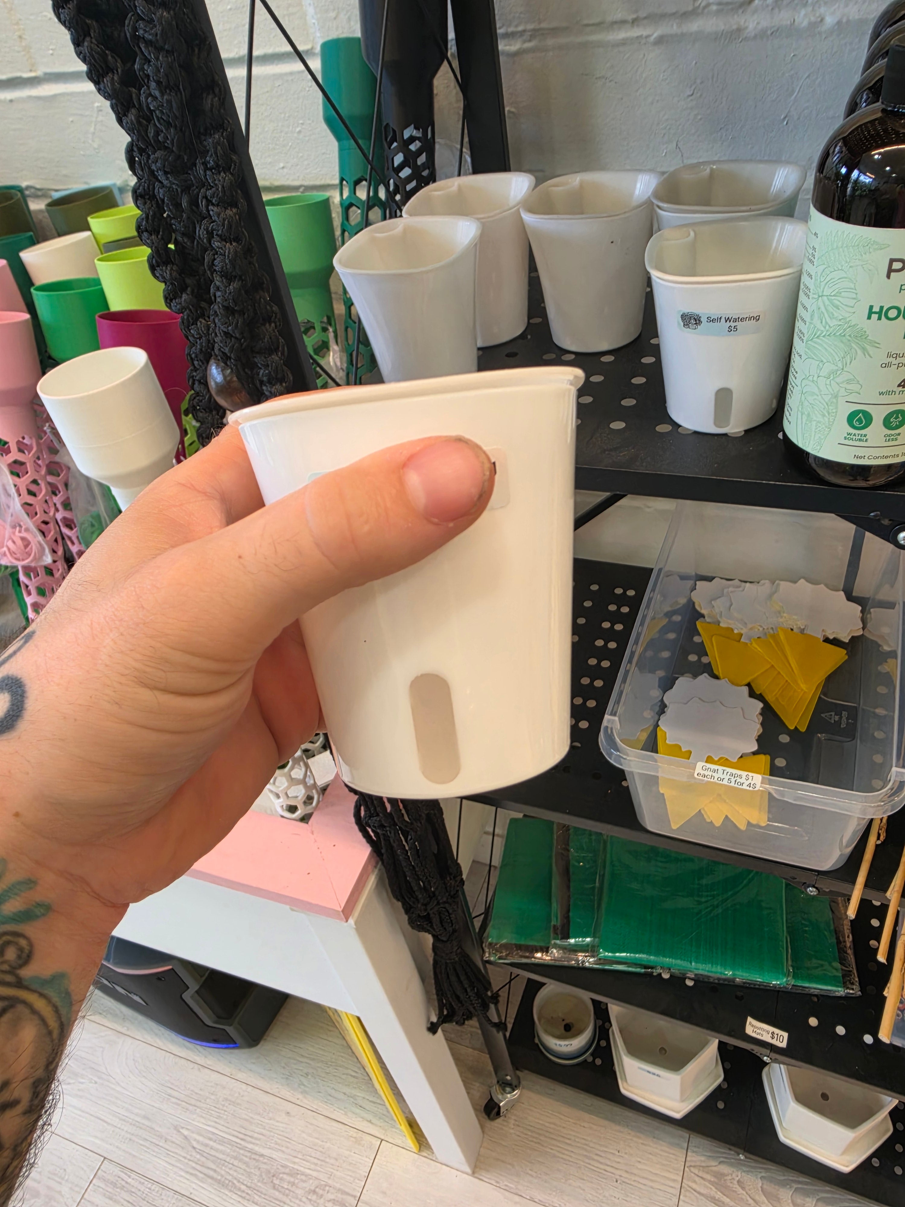 Self watering pots
