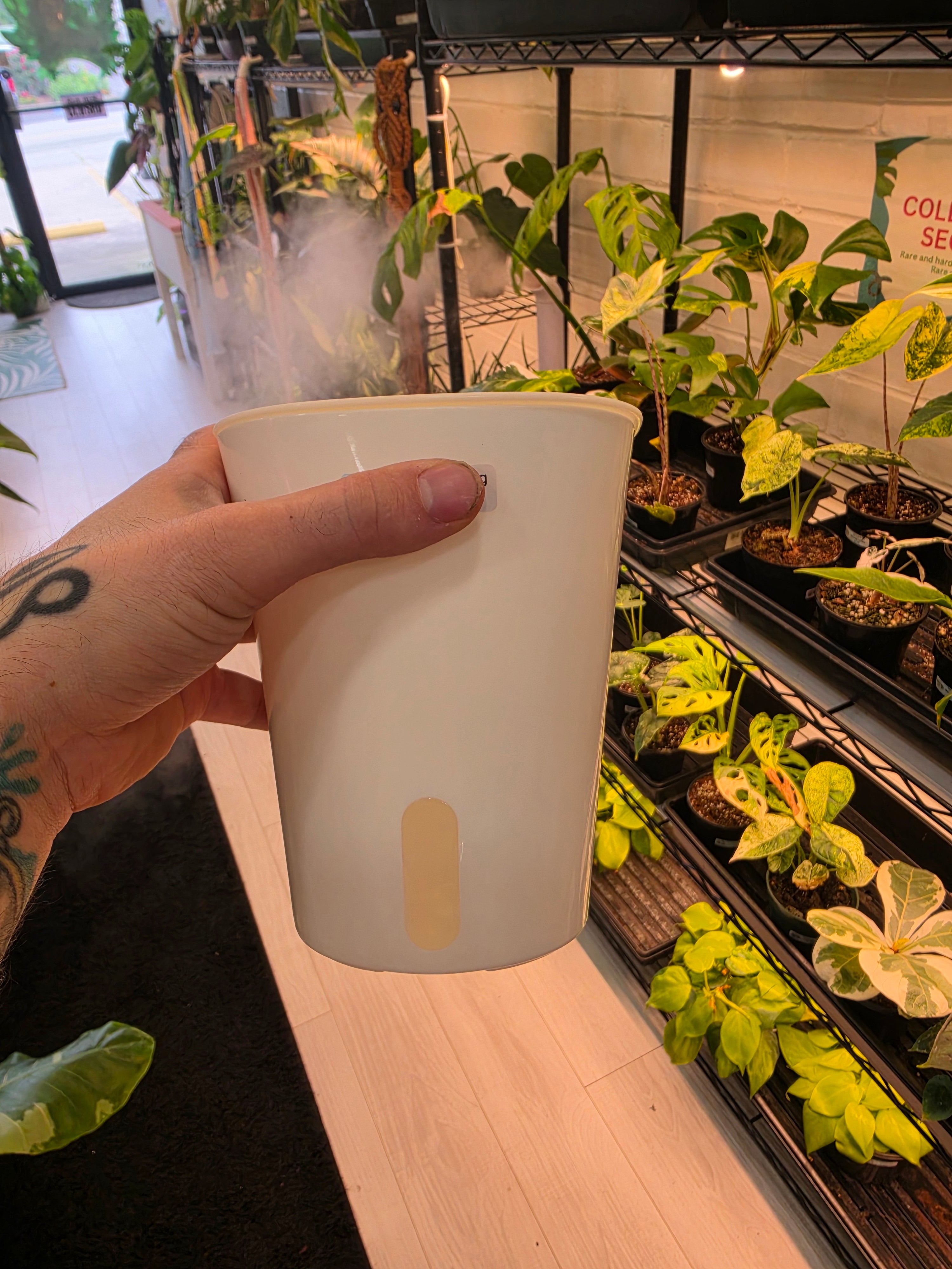 Self watering pots
