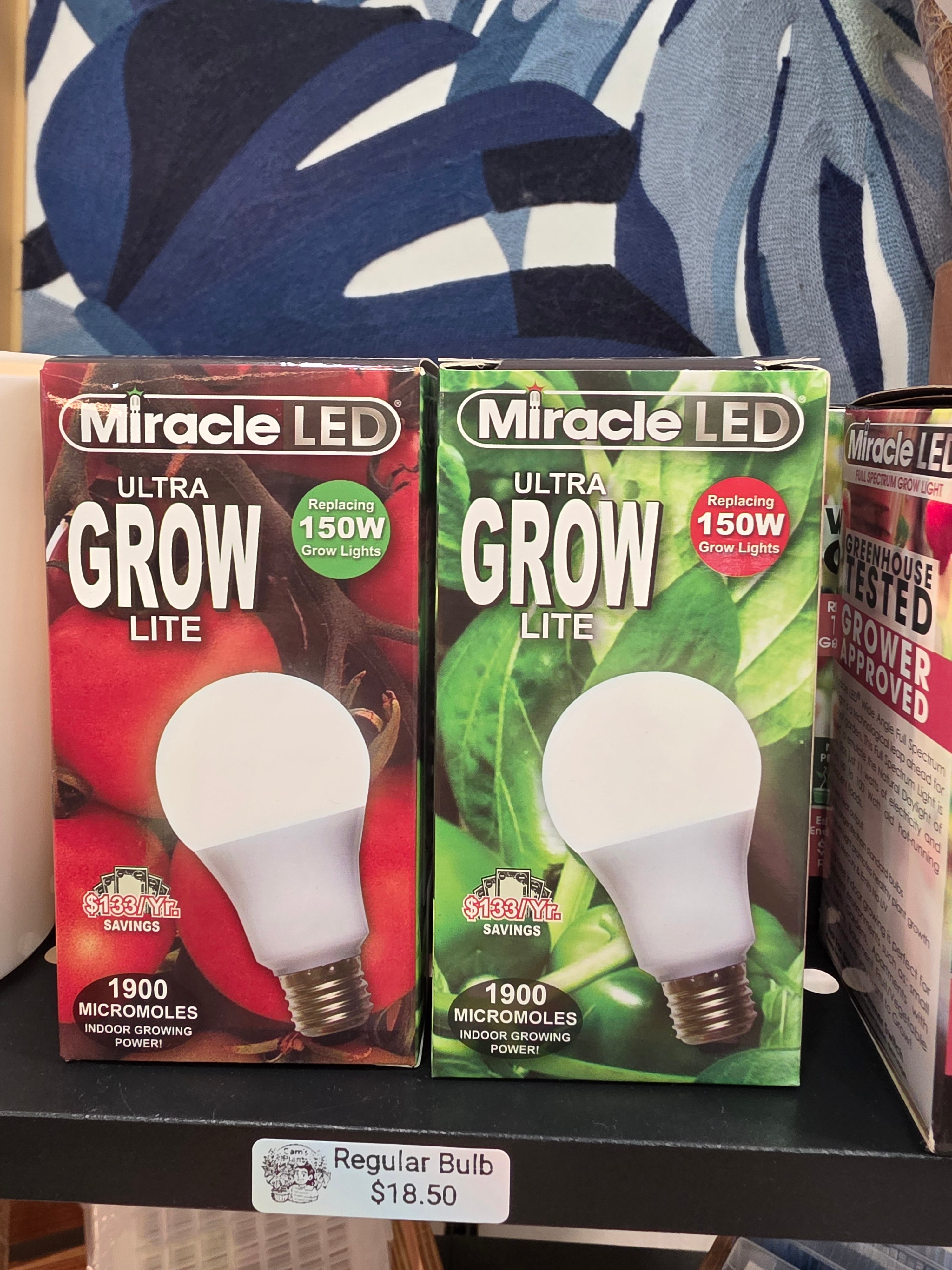 Grow Bulbs